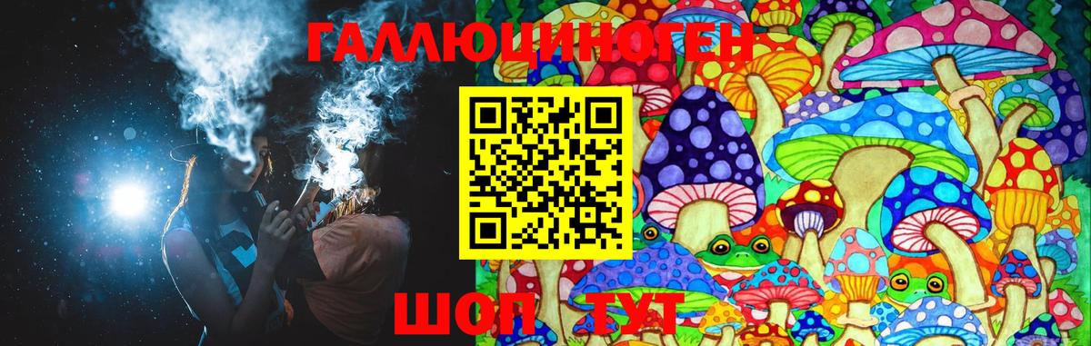 Галлюциногенные грибы Psilocybe Азов