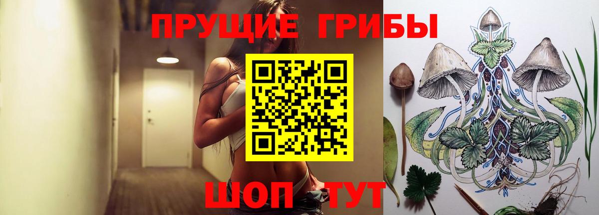 Галлюциногенные грибы Cubensis  Псилоцибиновые грибы MAGIC MUSHROOMS  Вход с VPN  Азов 